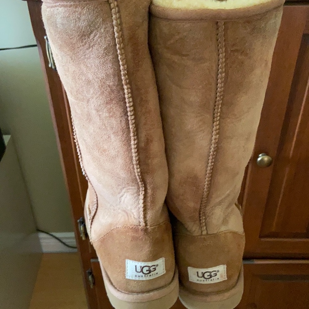 UGG Tan Winter Boots